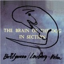 The Brain of the Dog in Section