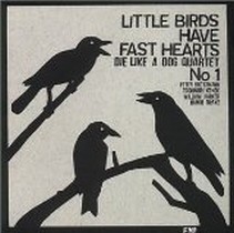 Little Birds Have Fast Hearts